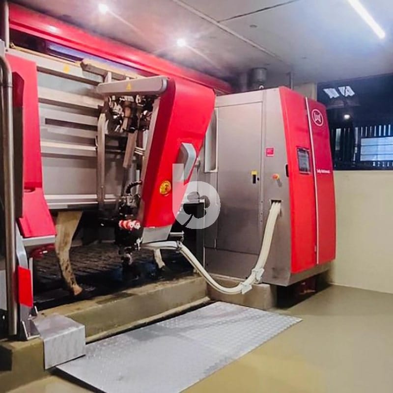 Used 2019 Lely A5 Milking Robot Backfarmer used-2019-lely-a5-milking-robot-backfarmer