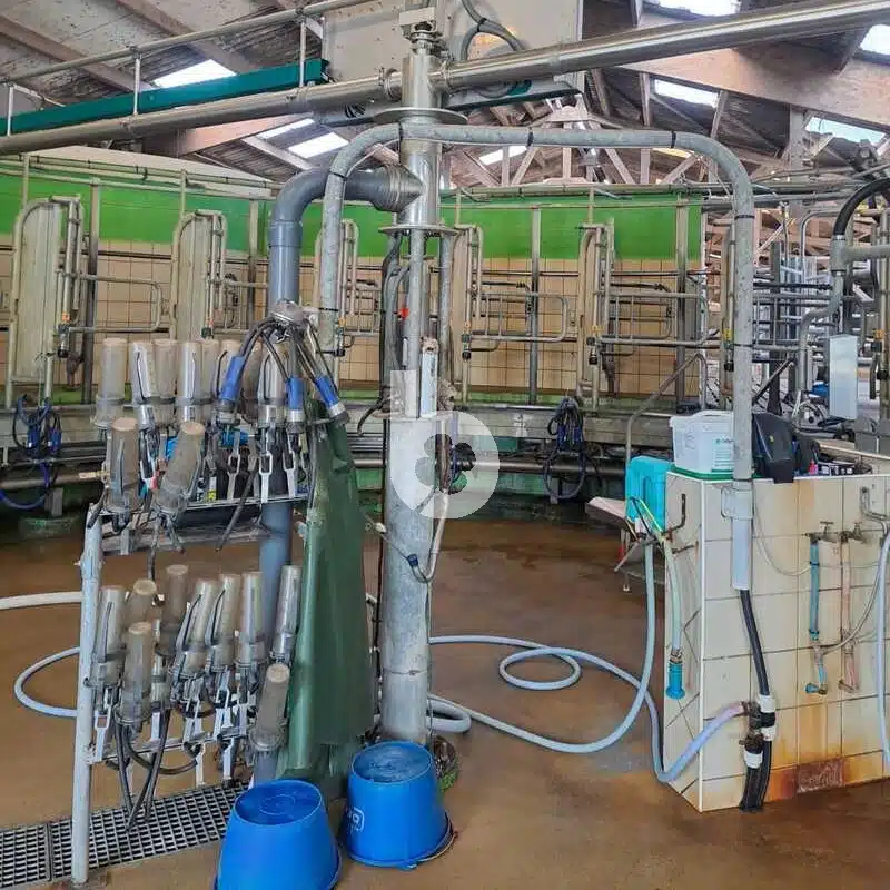 Salle de traite rotative intérieur GEA 24 vaches – Image 11