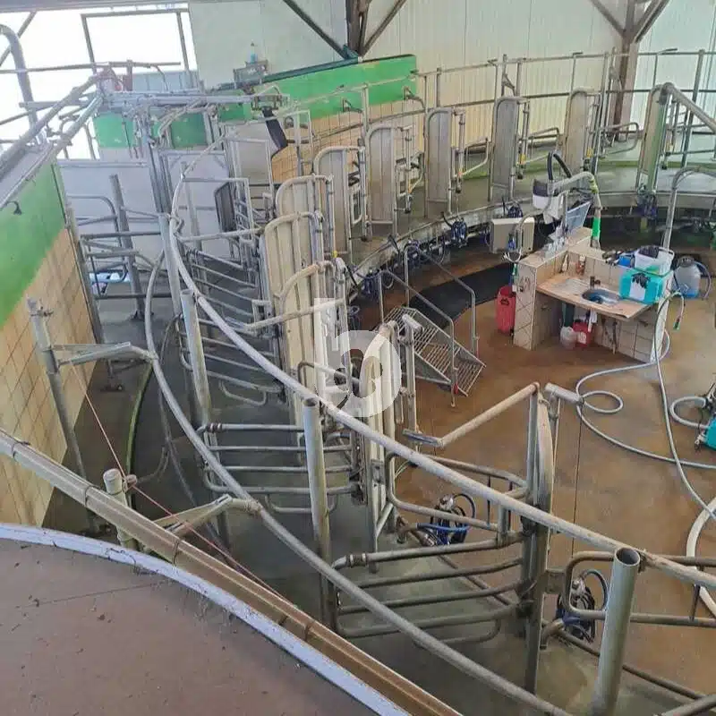 Salle de traite rotative intérieur GEA 24 vaches – Image 12
