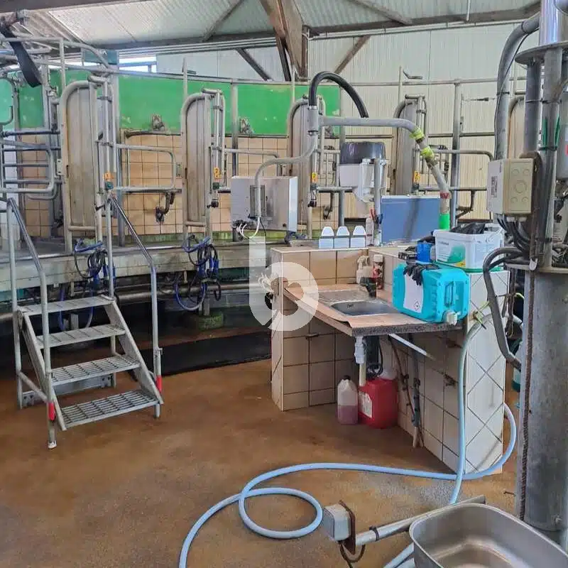 Salle de traite rotative intérieur GEA 24 vaches – Image 13