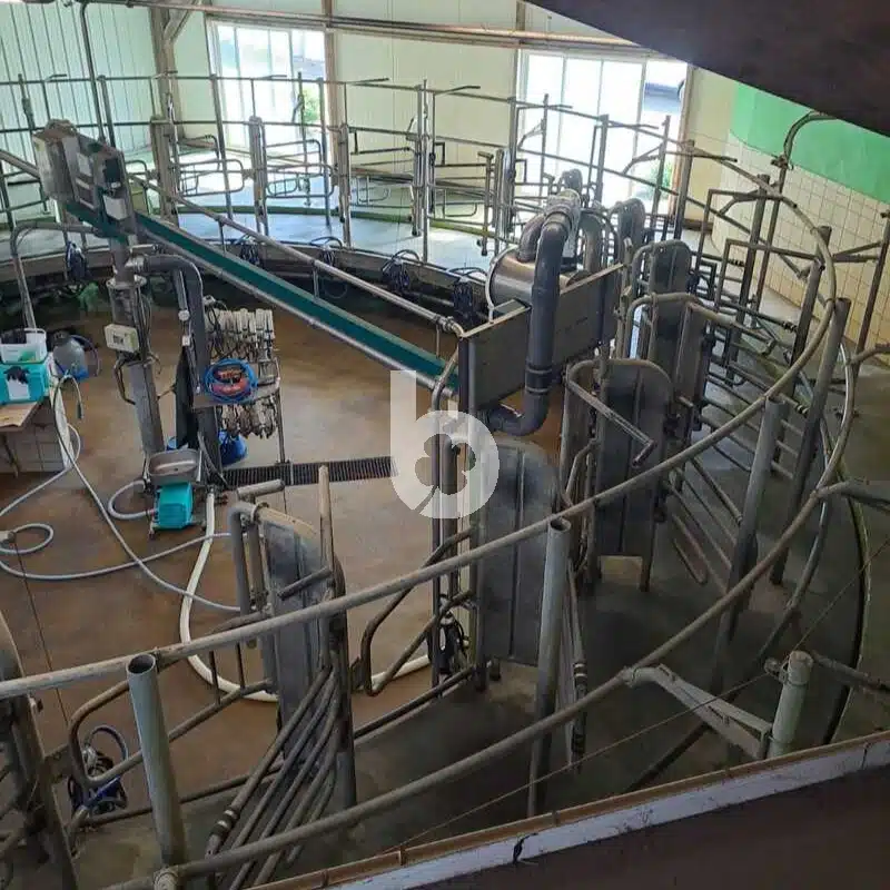 Salle de traite rotative intérieur GEA 24 vaches – Image 14