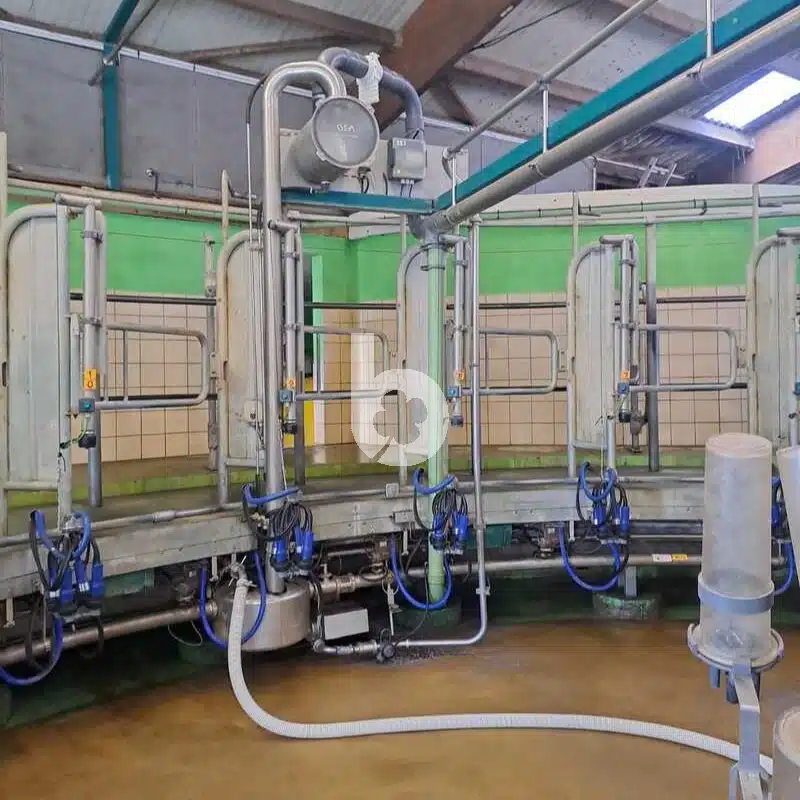 Salle de traite rotative intérieur GEA 24 vaches – Image 5