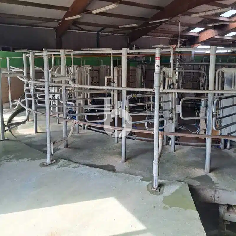 Salle de traite rotative intérieur GEA 24 vaches – Image 6