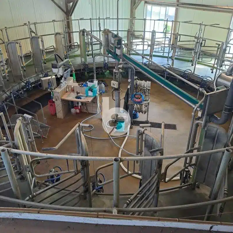 Salle de traite rotative intérieur GEA 24 vaches